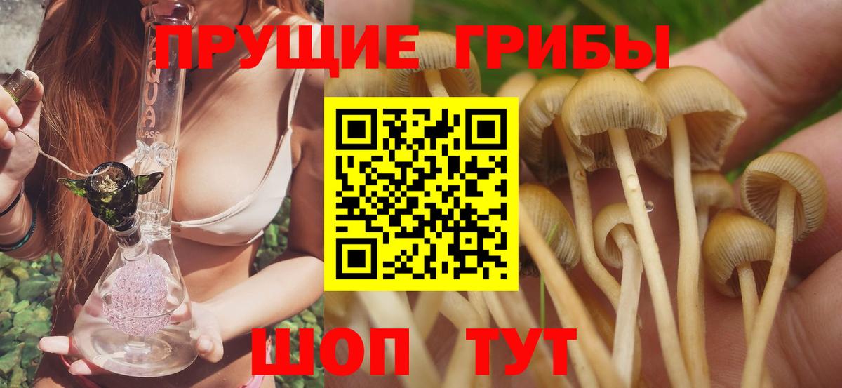 где продают наркотики  Псилоцибиновые грибы Psilocybe  Вход с VPN  Камышин 